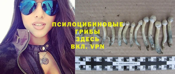 винт Алзамай